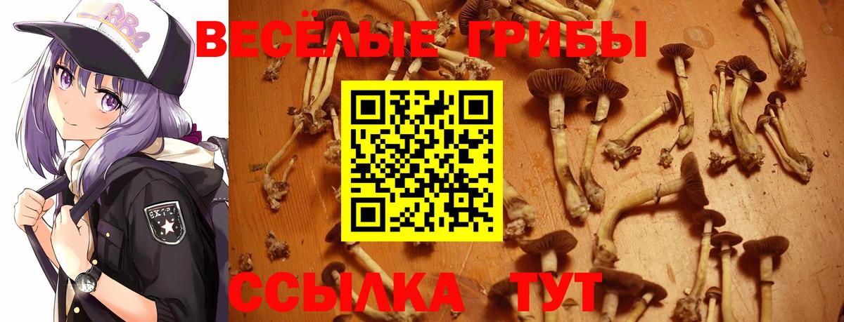Псилоцибиновые грибы Cubensis  Галлюциногенные грибы прущие грибы  Вход с VPN  Ишимбай 